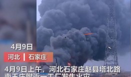 沧州爆料媒体曝光视频最新,最新曝光视频揭露惊人真相