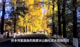 娱乐吃瓜君17,揭秘娱乐圈最新热点事件