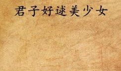 君子好逑1在线观看,浪漫邂逅，心动之旅