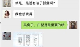 泄密爆料吃瓜免费,泄密爆料背后的真相与内幕