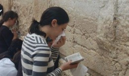 娱乐吃瓜君17,揭秘娱乐圈最新热点事件