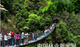牛头山森林公园爆料视频,壮观景色与自然奇观一网打尽