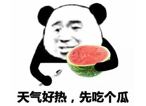 吃瓜表情啥意思是什么