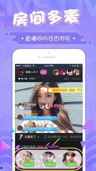 吃瓜看娱乐1.2apk,解锁全新娱乐体验,畅享热门资讯